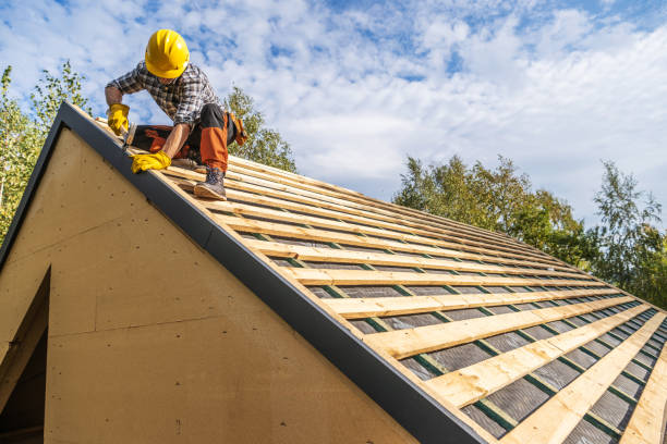 Best Roof Gutter Cleaning  in Monroe North, WA